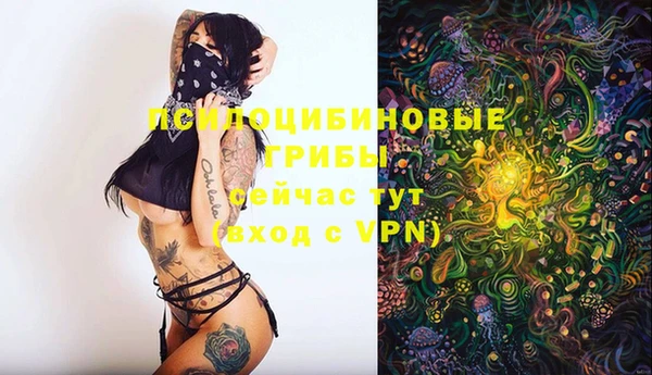Альфа ПВП Абдулино
